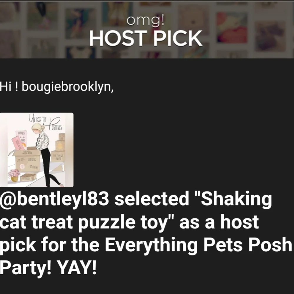Shaking cat treat puzzle toy